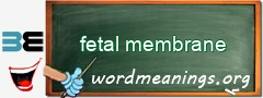 WordMeaning blackboard for fetal membrane
